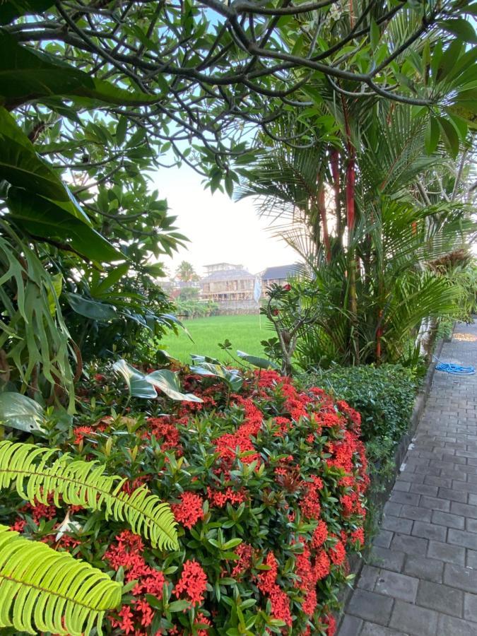 Krisna Homestay Canggu Eksteriør bilde